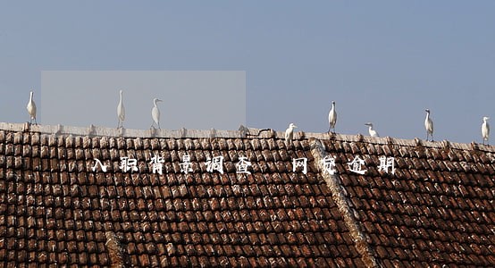 入职背景调查 网贷逾期 入职背景调查 网贷逾期